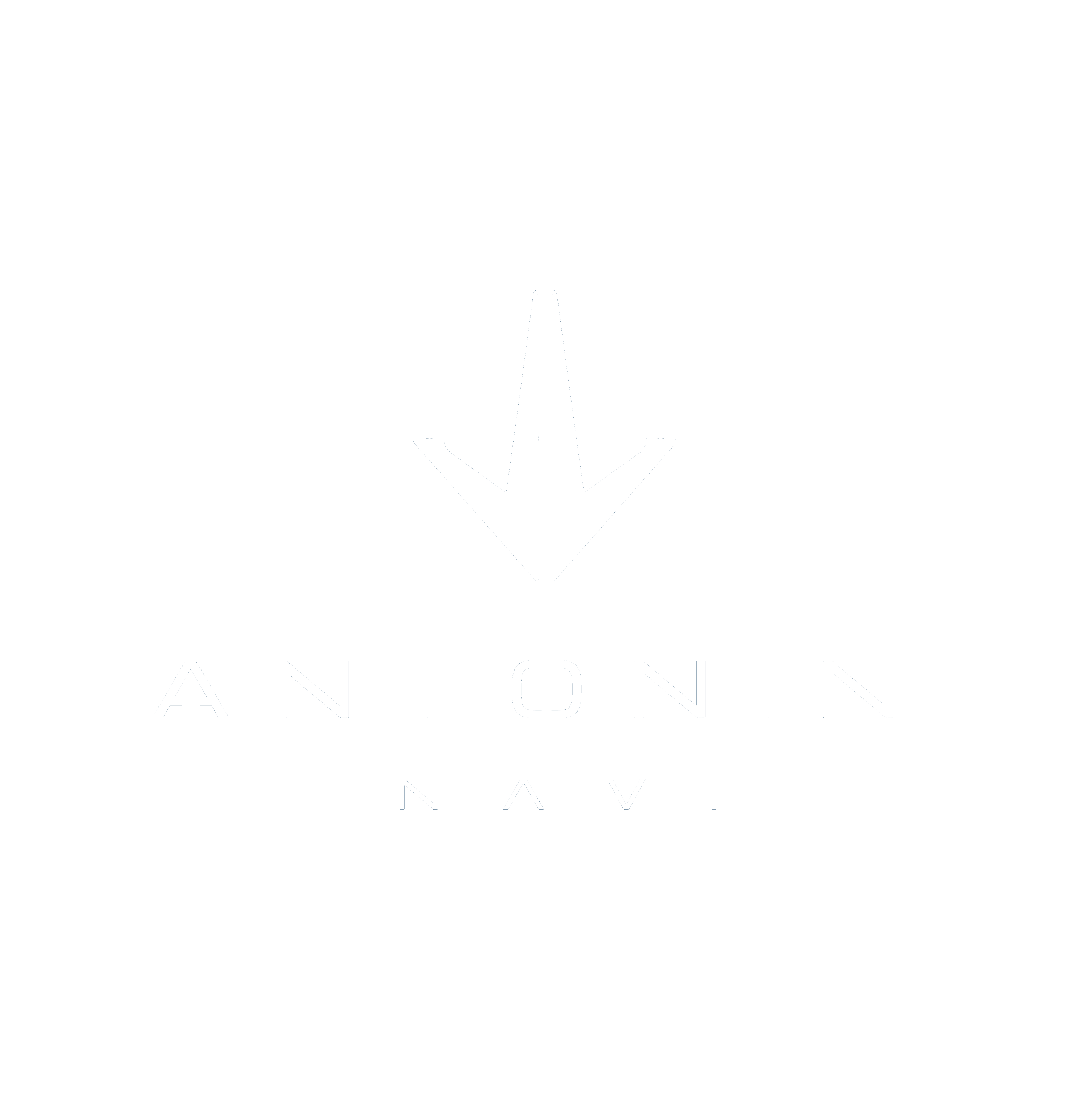 Antonini Navi